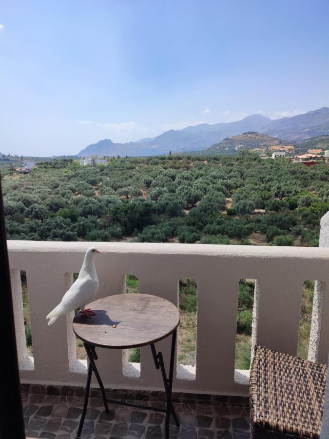 Natural Apartment Damnoni