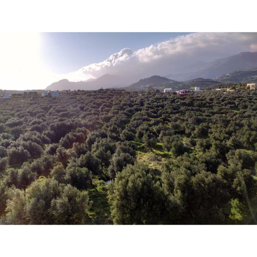Natural דירה